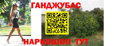 стаф Кимры