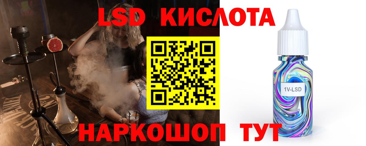 Псилоцибиновые грибы Балтийск