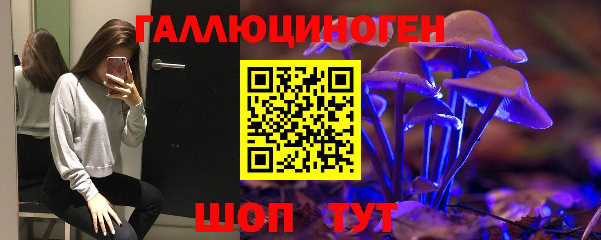 Галлюциногенные грибы Cubensis Балтийск